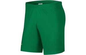 Футбольные шорты мужские Pine Green / Opit Yellow Nike, зеленый/желтый