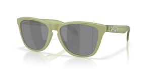 Мужские солнцезащитные очки Oakley FROGSKINS OO 9013, размер 55/17/139