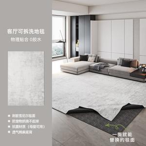 AOVOC Ковер 160х230 см для гостиной/спальни съемный, моющийся, в стиле минимализм, грязеотталкивающий, с основанием 10мм