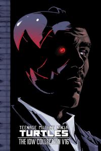 Teenage Mutant Ninja Turtles: The IDW Collection Volume 16 (IDW Publishing)