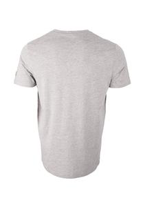 Футболка с принтом MIT BRUST FORSBERG, серый