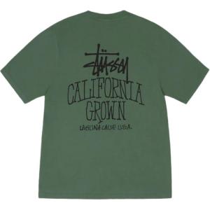 Футболка Stüssy California Grown Pigment dyed Stussy, зеленый