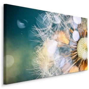 Картина на холсте Muralo Löwenzahn Pflanze 3D Effekt, 100x70x70 см цвет beige/blau/braun/grün