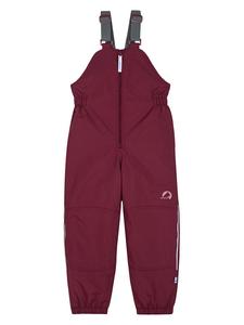 Горнолыжные брюки Куни красного цвета finkid