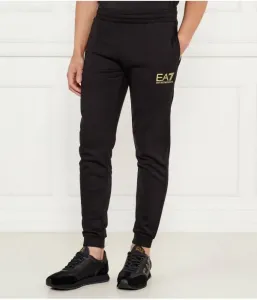 Спортивные штаны regular fit Ea7, черный