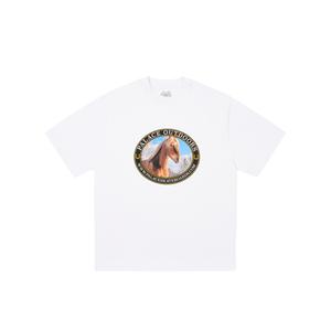 Футболка для верховой езды PALACE, белый