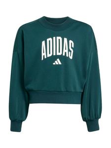Спортивная толстовка ADIDAS SPORTSWEAR, изумрудный