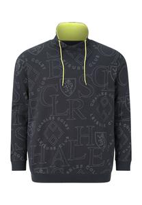 Толстовка EARL EVERTS Charles Colby, темно-серый