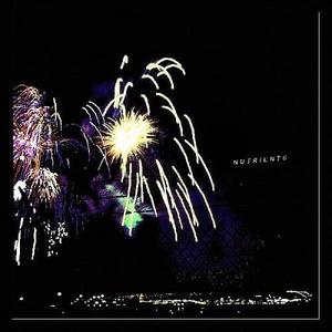 Виниловая пластинка Nutrients: Different Bridges