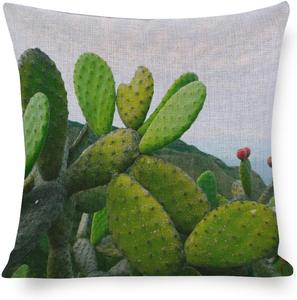 MaSiledy Чехол для подушки квадратный с принтом кактусов и тропических растений Pattern-7