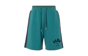Повседневные шорты мужские зеленые Puma, зеленый