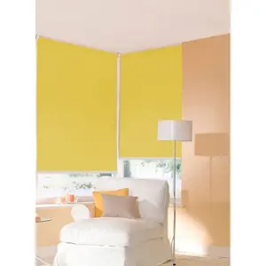 Солнцезащитная рулонная штора Young Style Blackout, затемняющая, энергосберегающая, подвесная Sunlines, Limone + weiß