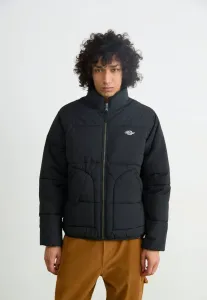 Зимняя куртка-пуховик summerdale Dickies, Black