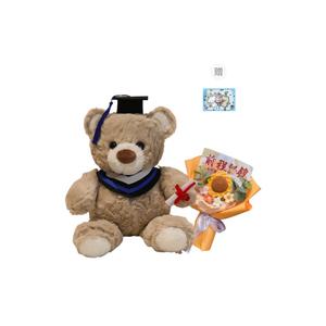 Милый плюшевый мишка доктор в дизайне для питомцев, высота 25 см BANLI