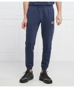 Спортивные штаны Regular fit Ea7, синий