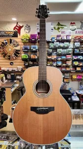 Акустическая гитара Takamine GN20 NS серии G20 NEX 2010-х годов - натуральный сатин