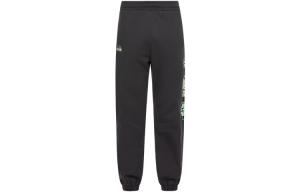 Повседневные брюки мужские угольно-серые Evisu, серый