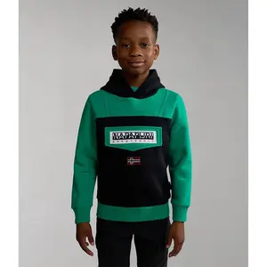 Толстовка Napapijri Burgee W 2, зеленый