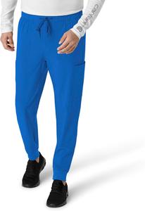 Брюки Carhartt для мужчин, Royal