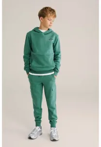 Спортивные штаны blue ridge We Fashion, Sea Green