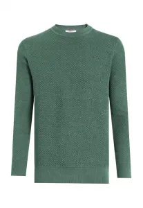 Классический свитер с круглым вырезом Felix Hardy, Green