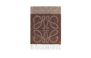 LOEWE Вязаный шарф мужской, Brown