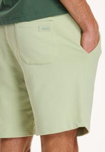 Спортивные брюки STEVE Shiwi, светло-зеленый