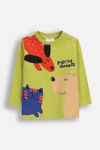 Детская хлопковая футболка Coccodrillo, зеленый