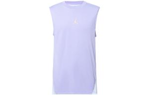 Футболка мужская Frosty Lilac Jordan, ледяная красота сиреневый