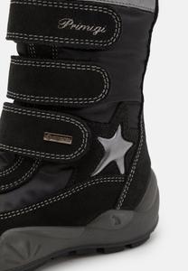 Зимние сапоги Primigi, черный