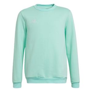 Спортивная толстовка ADIDAS PERFORMANCE Entrada 22, цвет Turquoise