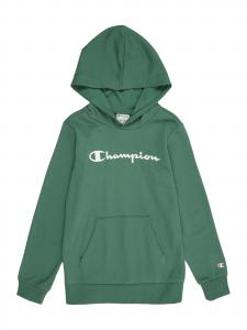 Champion Authentic Athletic Apparel Толстовка в зеленом цвете