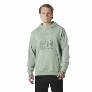Худи Helly Hansen Core Graphic, зеленый