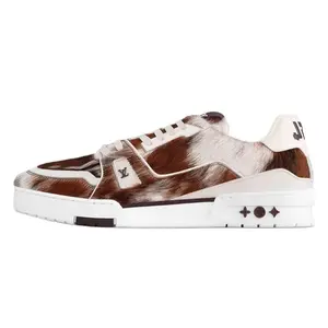 LOUIS VUITTON Кроссовки для скейтбординга Trainer Low-Top, унисекс, коричневые