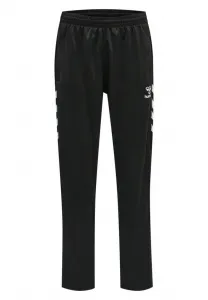 Спортивные штаны hmlcore volley poly Hummel, Black
