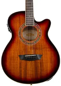 Акустическая/электро-гитара Washburn EA55G-A Festival Series Cutaway Mini Jumbo. Отделка Koa Burst