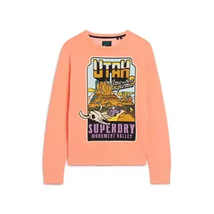 Толстовка Superdry Neon Travel Loose, оранжевый
