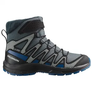 Походные ботинки Salomon XA Pro V8 Winter WP, серый