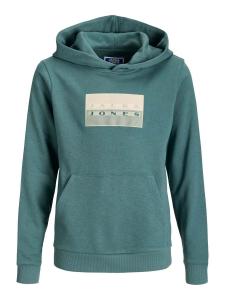Jack & Jones Junior Толстовка 'JCOFusion' в зеленом цвете