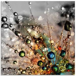 Стеклянная картина Artland Farbenfrohe Natur, 50x50x2 см, красочный