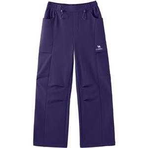 Женские термоштаны карго с мягкой оболочкой, растягивающиеся, антистатические, водоотталкивающие, на флисовой подкладке CAMEL, eden фиолетовый