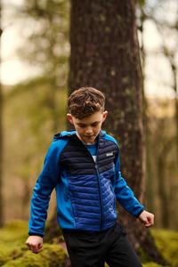 Толстовка Kielder Hybrid VIII стрейч Regatta, синий