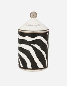 Ароматическая свеча из фарфора - личи и шелковица Dolce&Gabbana, мультиколор