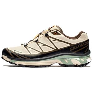 Кроссовки Sneakersnstuff X XT 6 GORE TEX 'Almond Milk Seagrass' SALOMON, White/Black/Brown