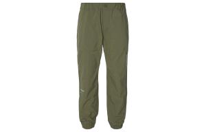 Мужские трикотажные спортивные штаны Dickies, цвет Army Green
