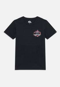 Футболка Quiksilver FLAMES YOUTH UNISEX, Black