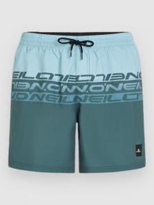 Пляжные шорты O'Neill Cali Stripe 16'' Boardshorts, blue upside down