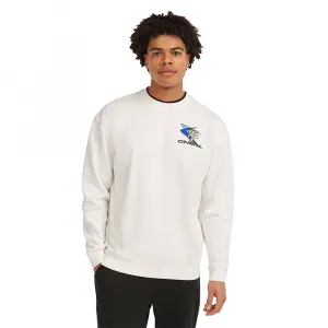 Толстовка O'neill FWC Play, белый