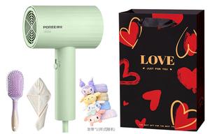 Фен для волос Poree, Mint Green (Puzzle Premium Set)