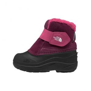 Кроссовки THE NORTH FACE Alpenglow 2 Toddler Shoes TD, розовый